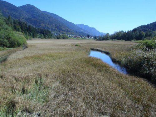Zelenci, v ozadju se vidi Podkoren